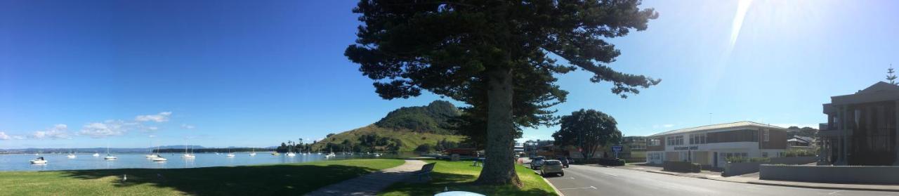Westhaven Motel Tauranga Extérieur photo